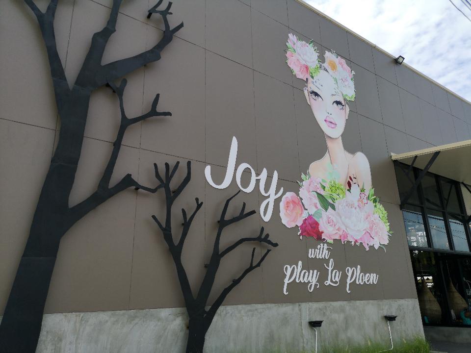 Joy with Play La Ploen