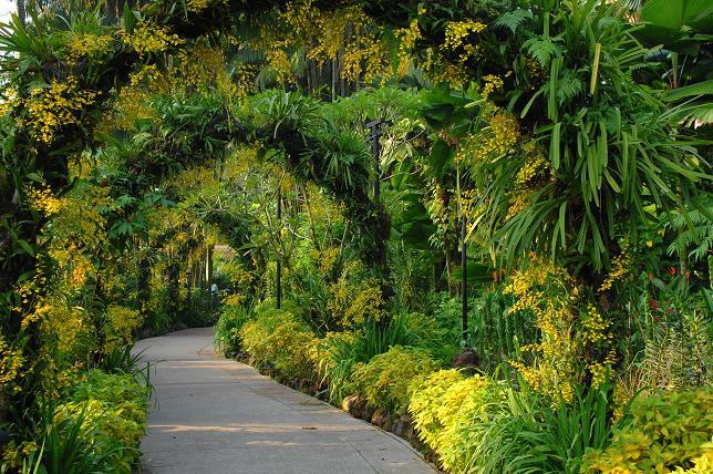 ,Singapore Botanic Garden