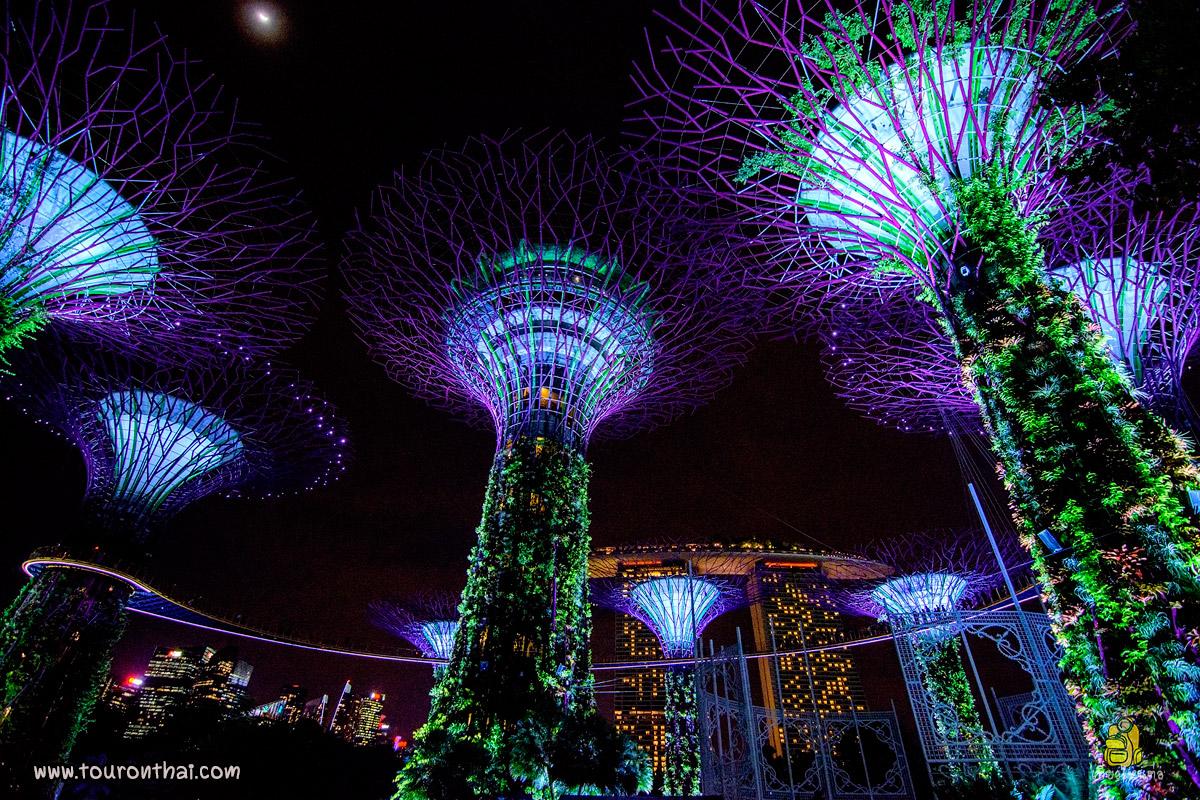 ,Garden by the Bay
