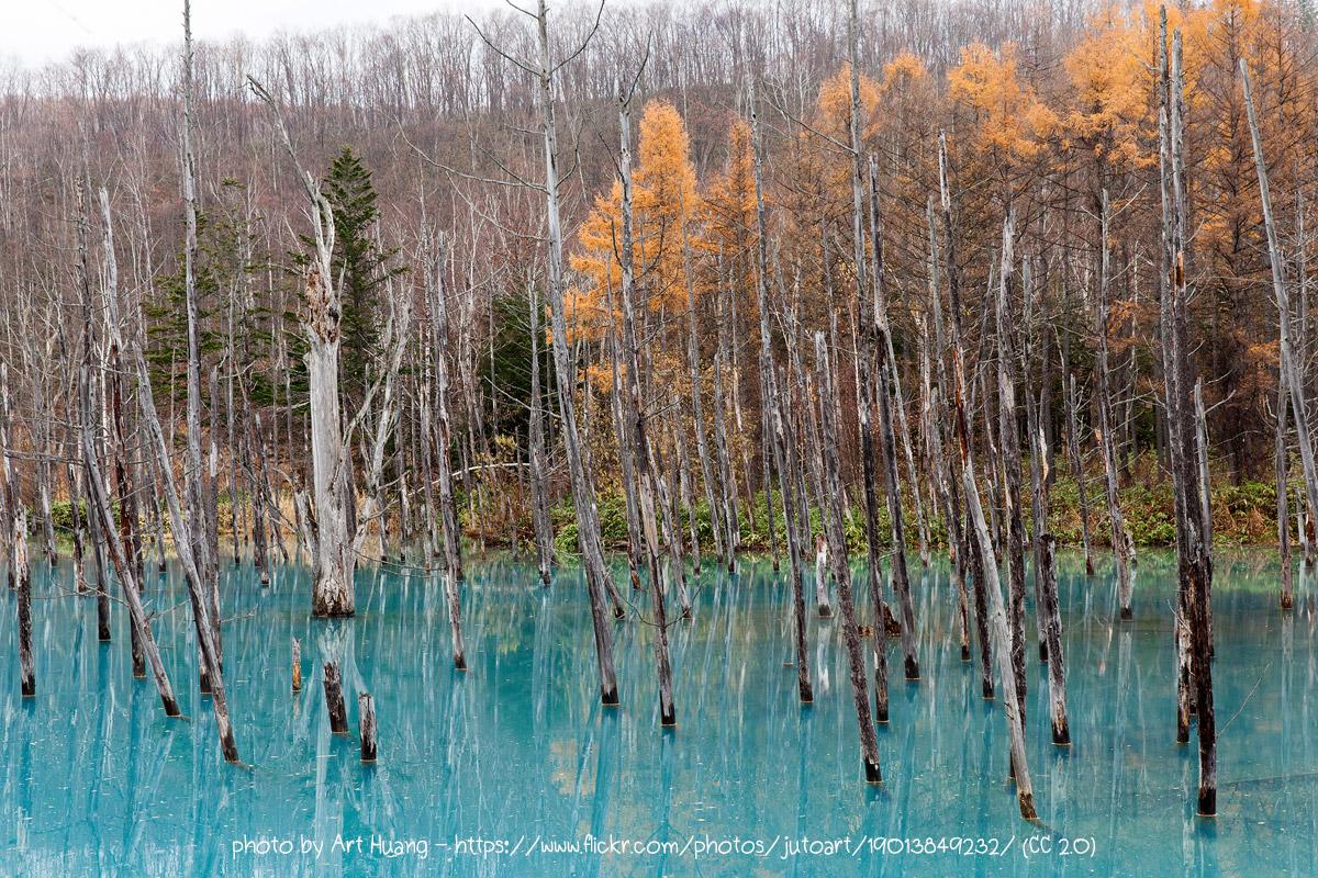 ,Shirogane (Biei) Blue Pond