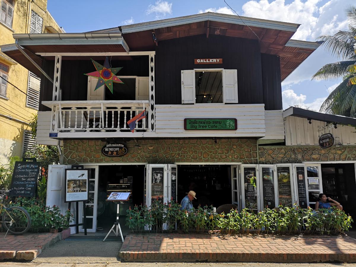 ,Big tree cafe - Luang Prabang